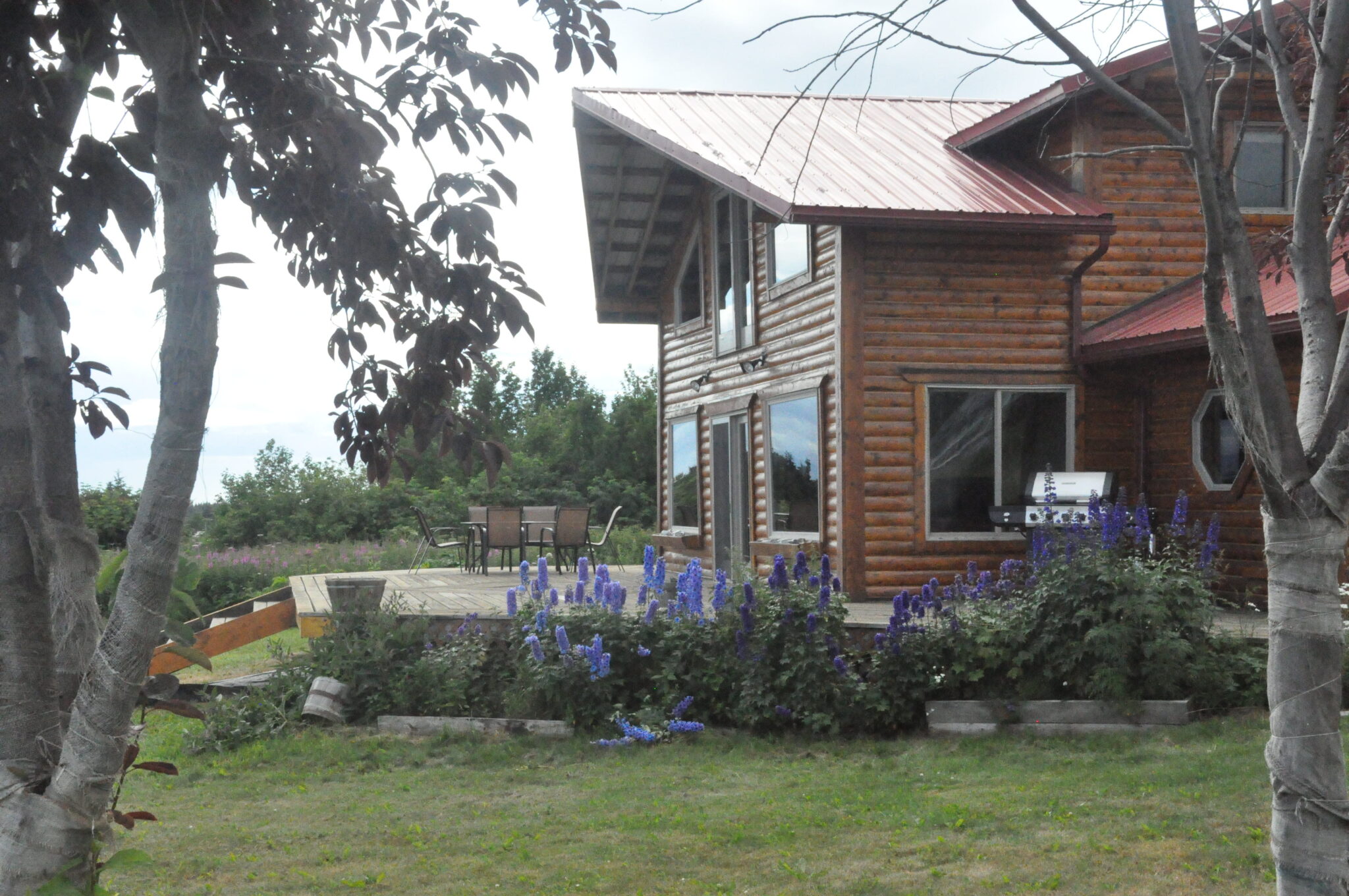 Island Watch Vacation Rentals in Homer, Alaska